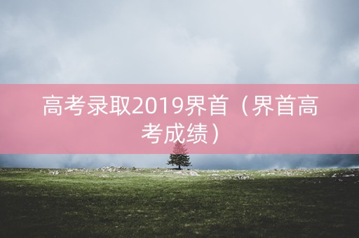 高考录取2019界首(界首高考成绩) 高考录取2019界首(界首高考成绩)
