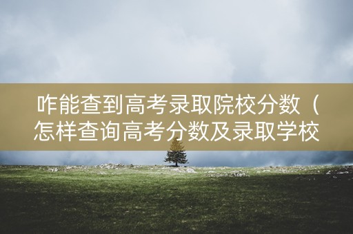 咋能查到高考录取院校分数（怎样查询高考分数及录取学校）