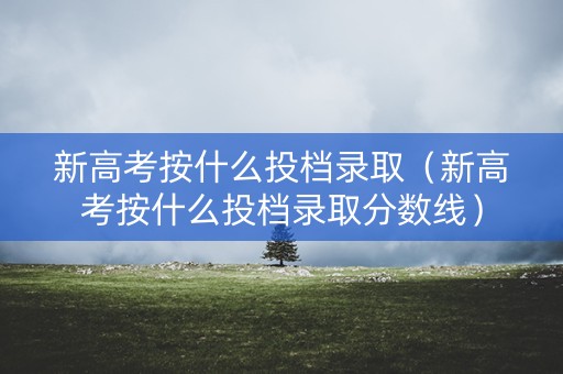 新高考按什么投档录取（新高考按什么投档录取分数线）