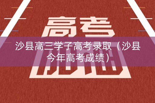 沙县高三学子高考录取（沙县今年高考成绩）