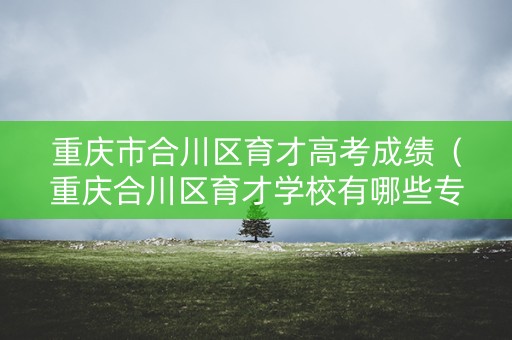 重庆市合川区育才高考成绩（重庆合川区育才学校有哪些专业）