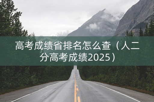 高考成绩省排名怎么查（人二分高考成绩2025）
