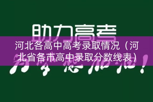 河北各高中高考录取情况（河北省各市高中录取分数线表）