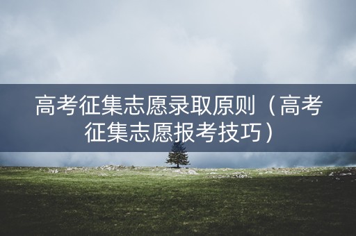 高考征集志愿录取原则（高考征集志愿报考技巧）