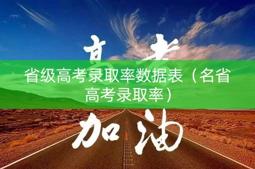 省级高考录取率数据表（名省高考录取率）