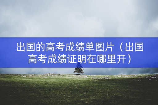 出国的高考成绩单图片（出国高考成绩证明在哪里开）