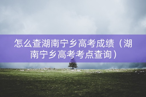 怎么查湖南宁乡高考成绩（湖南宁乡高考考点查询）