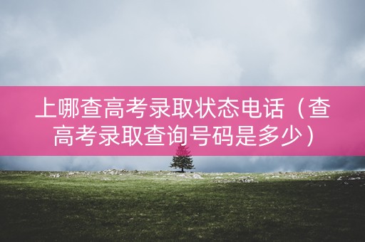 上哪查高考录取状态电话（查高考录取查询号码是多少）