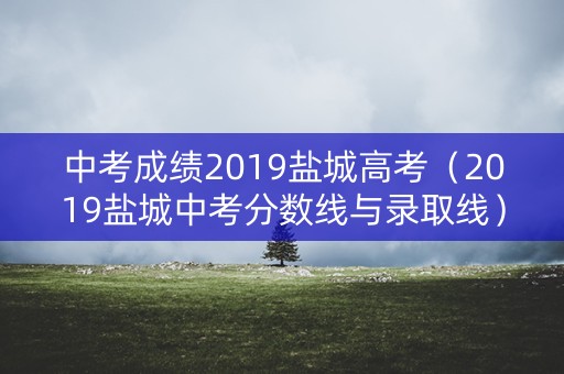 中考成绩2019盐城高考（2019盐城中考分数线与录取线）
