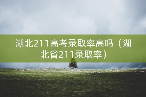 湖北211高考录取率高吗(湖北省211录取率) 湖北211高考录取率高吗(湖北省211录取率)