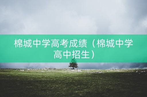 棉城中学高考成绩（棉城中学高中招生）