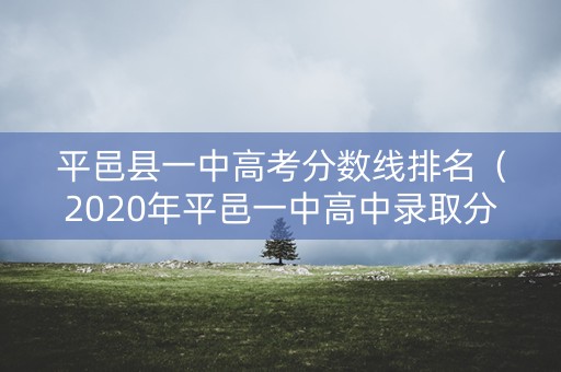 平邑县一中高考分数线排名(2020年平邑一中高中录取分数线) 平邑县一中高考分数线排名(2020年平邑一中高中录取分数线)