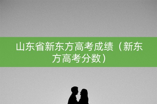 山东省新东方高考成绩（新东方高考分数）