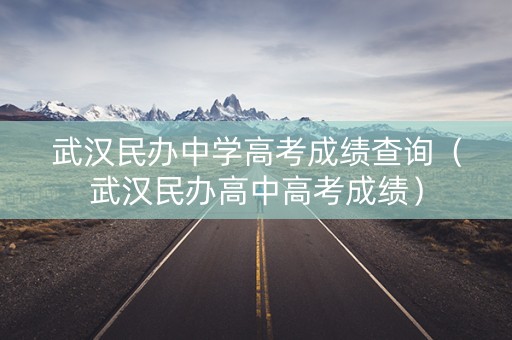 武汉民办中学高考成绩查询（武汉民办高中高考成绩）