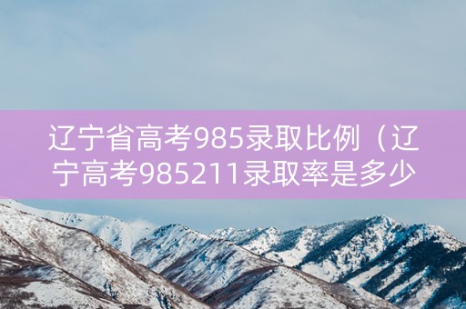 辽宁省高考985录取比例（辽宁高考985211录取率是多少）