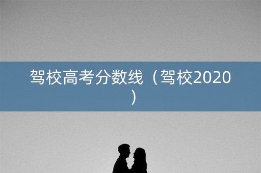 驾校高考分数线（驾校2020）