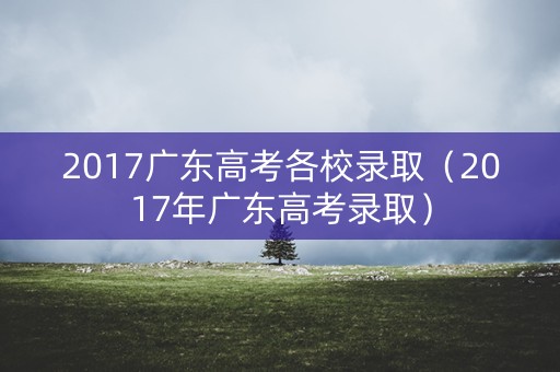 2017广东高考各校录取（2017年广东高考录取）