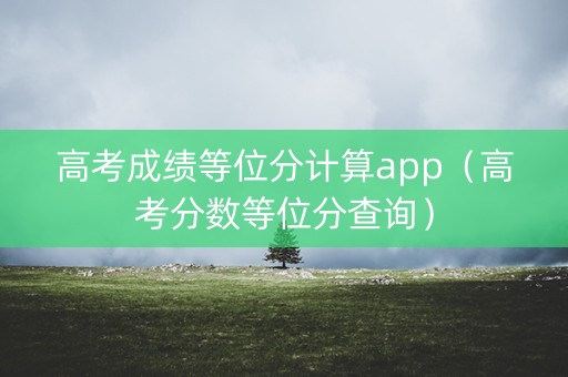 高考成绩等位分计算app（高考分数等位分查询）
