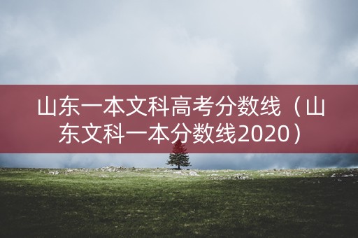 山东一本文科高考分数线（山东文科一本分数线2020）