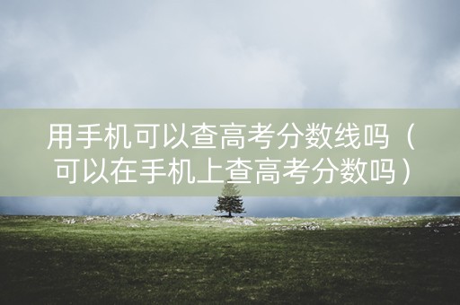 用手机可以查高考分数线吗（可以在手机上查高考分数吗）