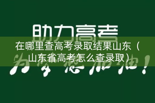 在哪里查高考录取结果山东（山东省高考怎么查录取）