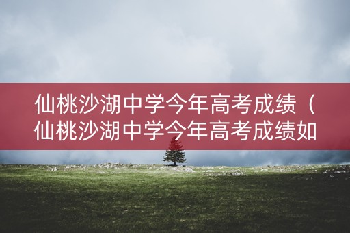 仙桃沙湖中学今年高考成绩（仙桃沙湖中学今年高考成绩如何）