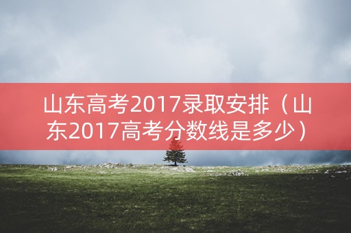 山东高考2017录取安排（山东2017高考分数线是多少）
