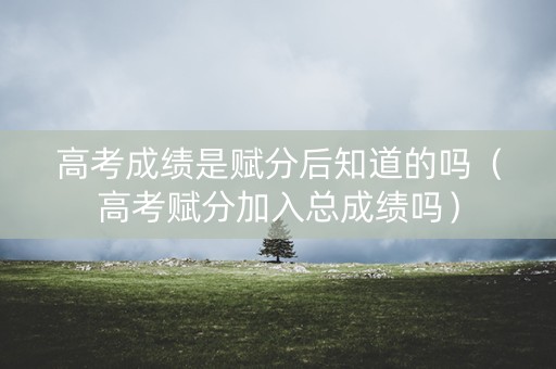 高考成绩是赋分后知道的吗（高考赋分加入总成绩吗）