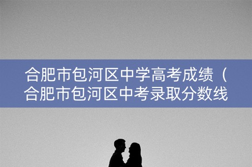 合肥市包河区中学高考成绩（合肥市包河区中考录取分数线）