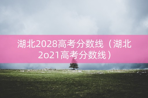湖北2028高考分数线（湖北2o21高考分数线）
