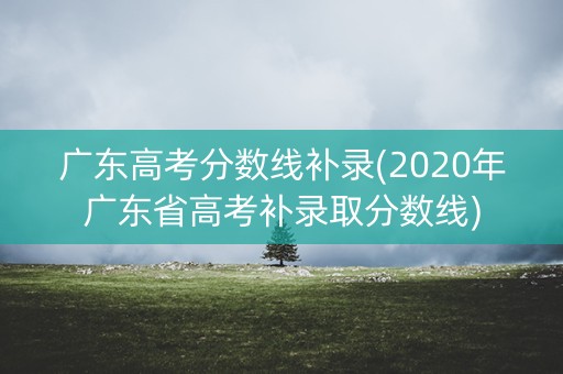 广东高考分数线补录(2020年广东省高考补录取分数线)