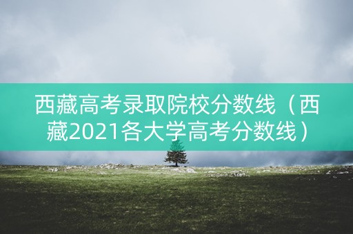 西藏高考录取院校分数线（西藏2021各大学高考分数线）