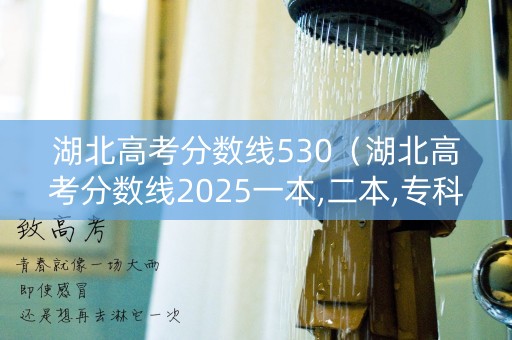 湖北高考分数线530（湖北高考分数线2025一本,二本,专科）