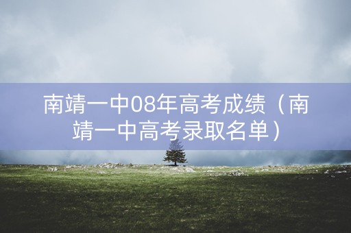 南靖一中08年高考成绩（南靖一中高考录取名单）