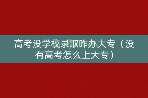 高考没学校录取咋办大专（没有高考怎么上大专）