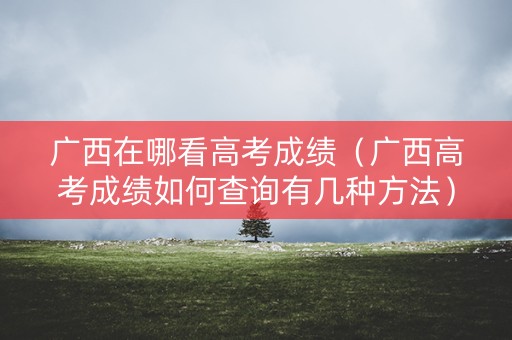 广西在哪看高考成绩(广西高考成绩如何查询有几种方法) 广西在哪看高考成绩(广西高考成绩如何查询有几种方法)