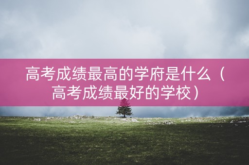 高考成绩最高的学府是什么（高考成绩最好的学校）