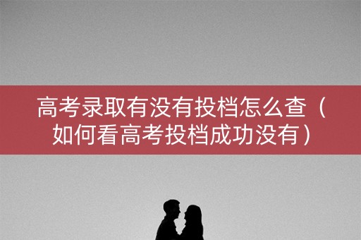 高考录取有没有投档怎么查（如何看高考投档成功没有）