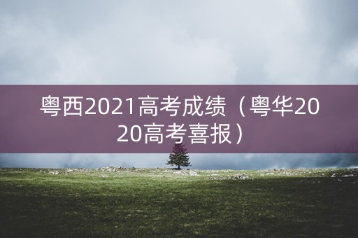 粤西2021高考成绩（粤华2020高考喜报）