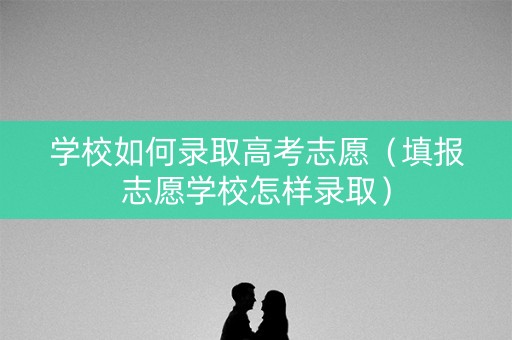 学校如何录取高考志愿（填报志愿学校怎样录取）