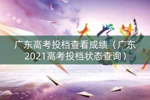 广东高考投档查看成绩（广东2021高考投档状态查询）