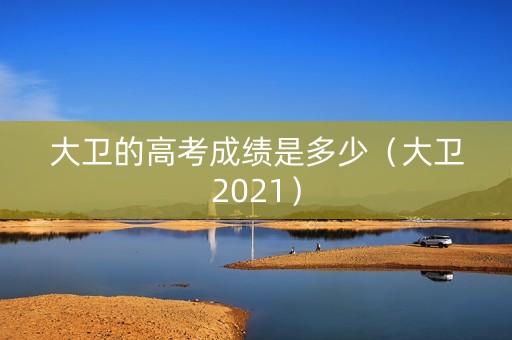 大卫的高考成绩是多少（大卫2021）