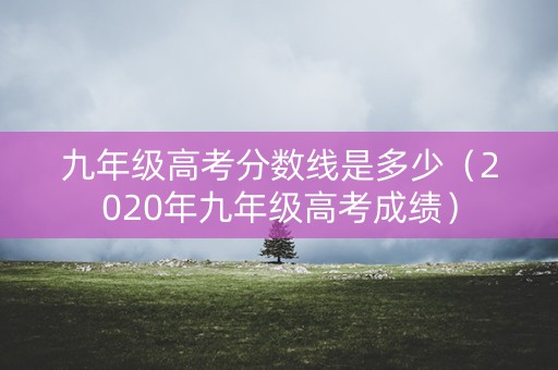 九年级高考分数线是多少（2020年九年级高考成绩）