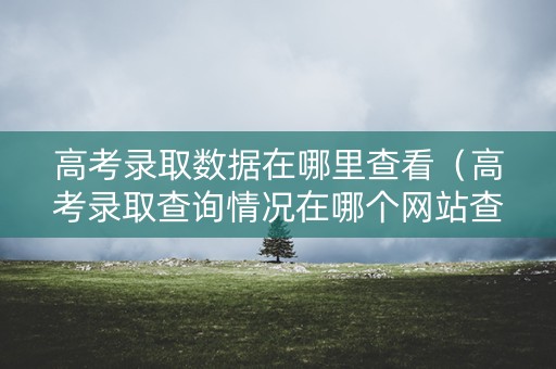 高考录取数据在哪里查看（高考录取查询情况在哪个网站查）