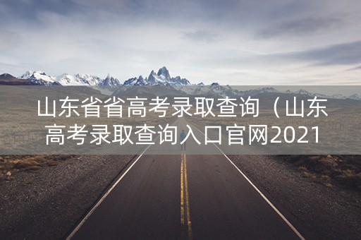 山东省省高考录取查询（山东高考录取查询入口官网2021）