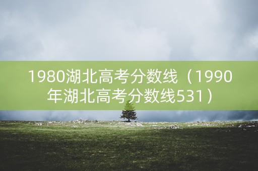 1980湖北高考分数线（1990年湖北高考分数线531）