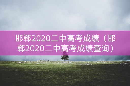 邯郸2020二中高考成绩（邯郸2020二中高考成绩查询）