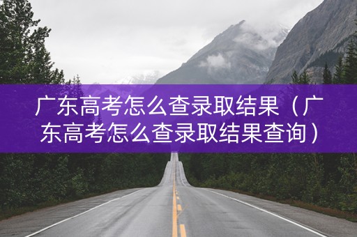 广东高考怎么查录取结果（广东高考怎么查录取结果查询）