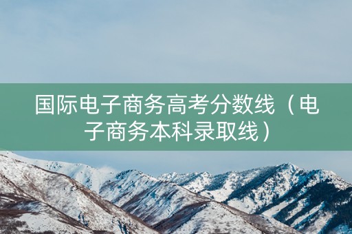 国际电子商务高考分数线（电子商务本科录取线）