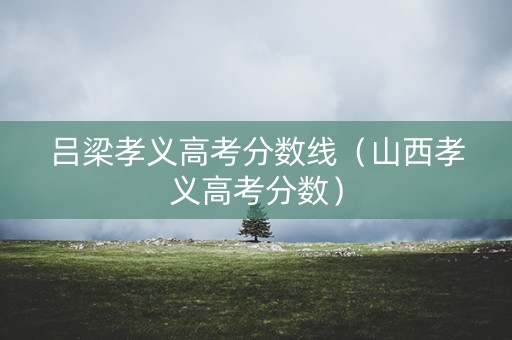 吕梁孝义高考分数线（山西孝义高考分数）